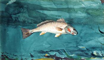 Winslow Homer : Channel Bass